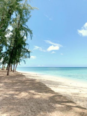 Lovely beachfront boutique apartment